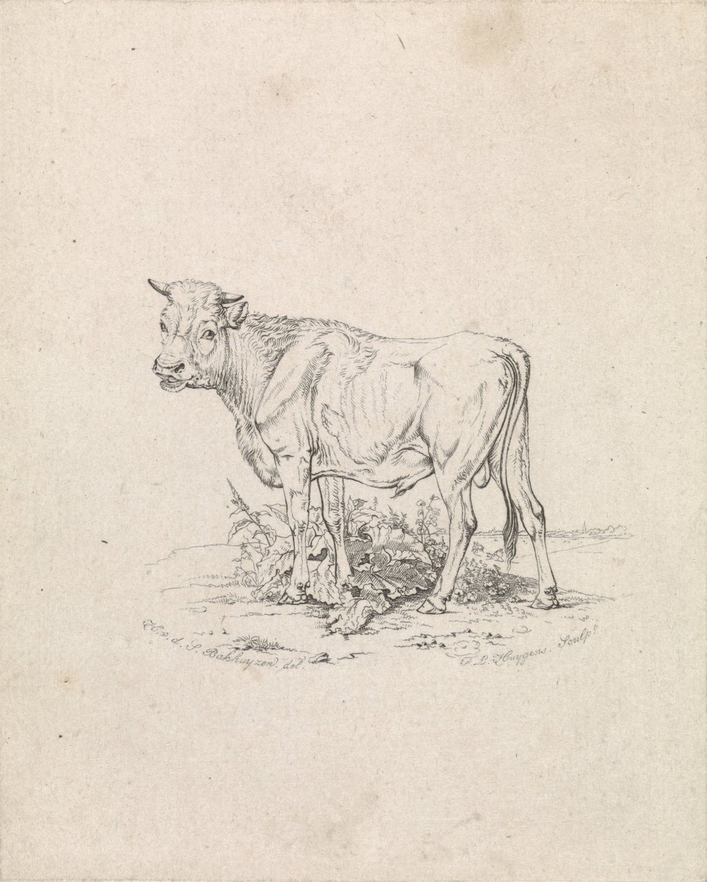 Toro da Frederik Lodewijk Huygens