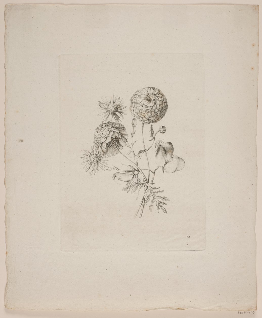 Motivo floreale da Frederik Schepelern