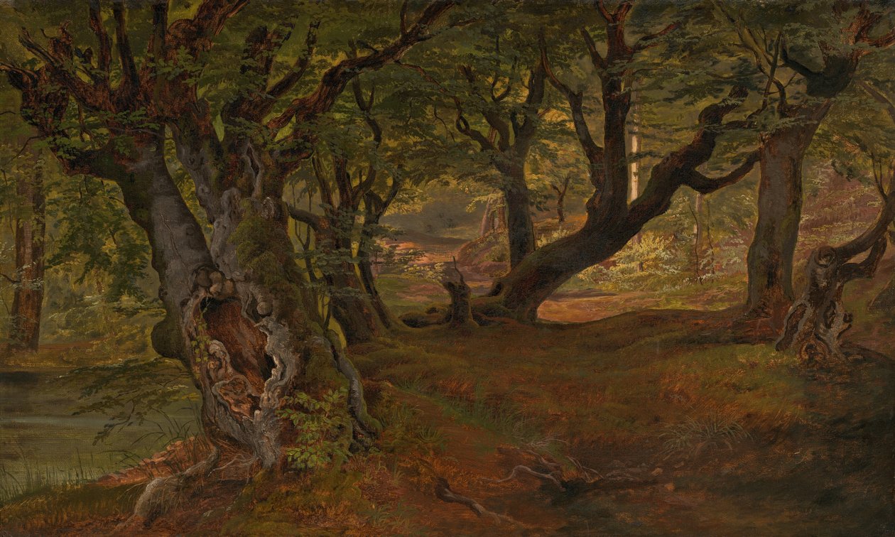 Vista della Foresta di Bregentved, Sjaeeland da Frederik Sødring