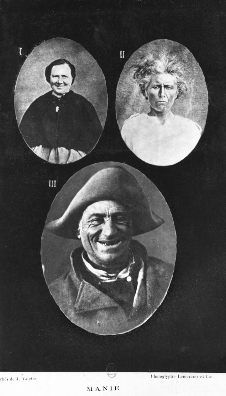 Mania, illustrazione da Nouveau traité élémentaire et pratique des maladies mentales di Henri Dagonet, Parigi, Baillière, 1876 da French Photographer