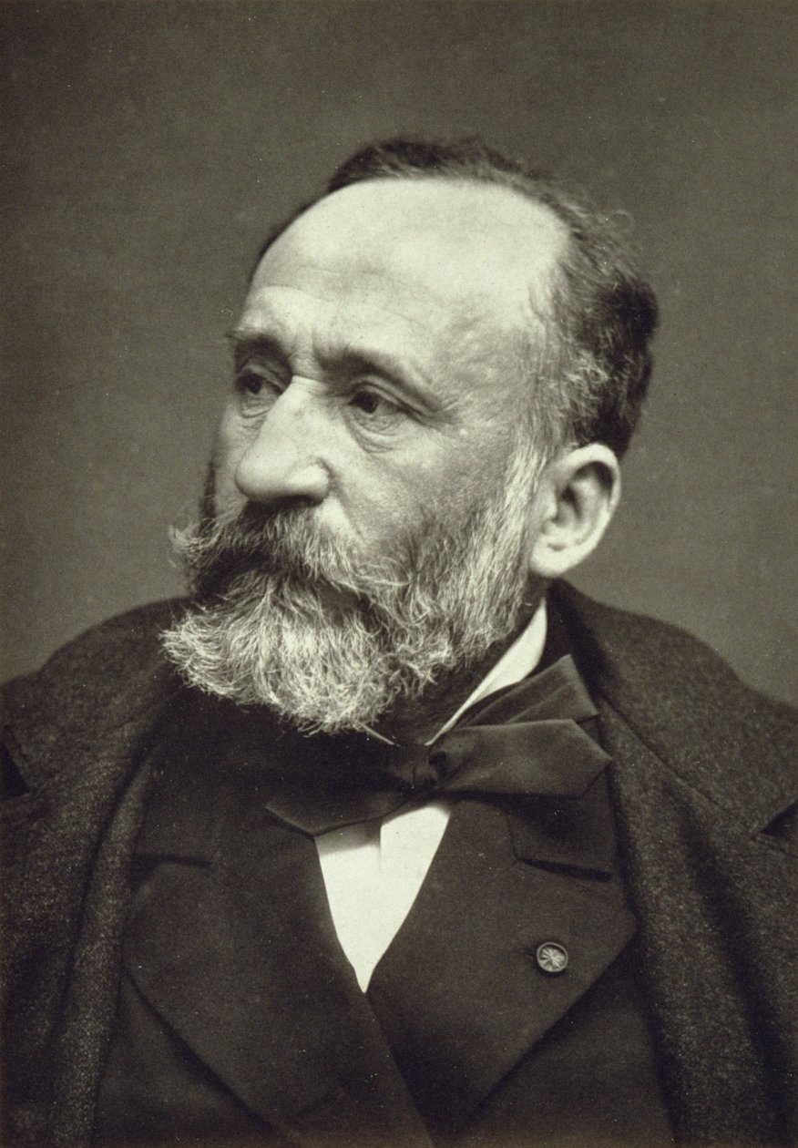 Pierre Cecile Puvis de Chavannes (1824-98), da Galerie Contemporaine, c.1874-78 da French Photographer