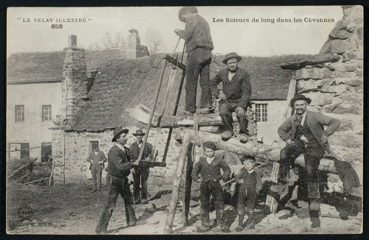 Cartolina raffigurante i segantini nelle Cevenne, c.1900 da French Photographer