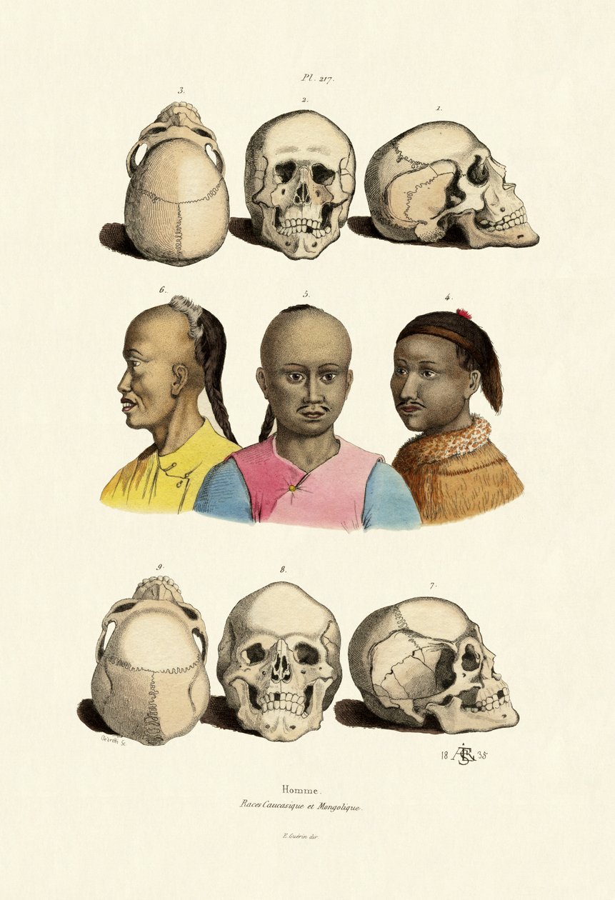 Caucasici da French School