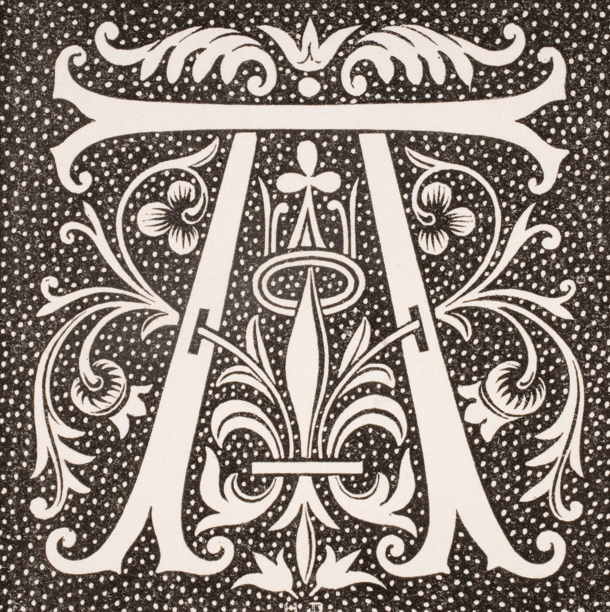 Lettera decorata 