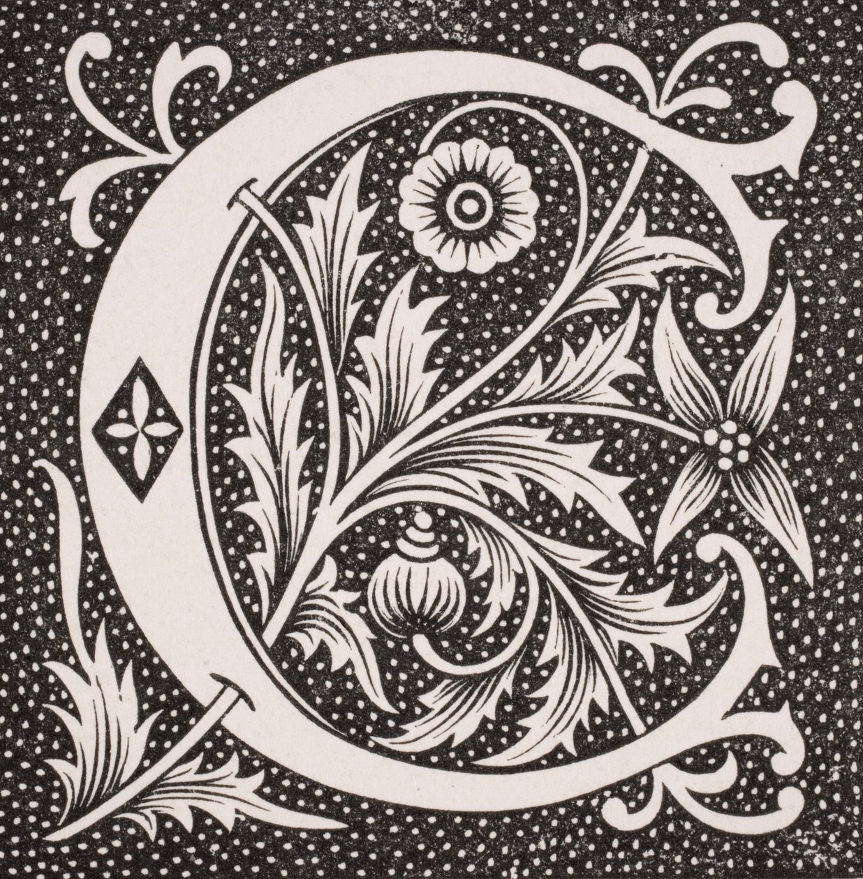 Lettera decorata 