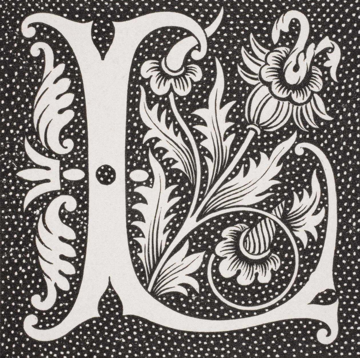 Lettera decorata 