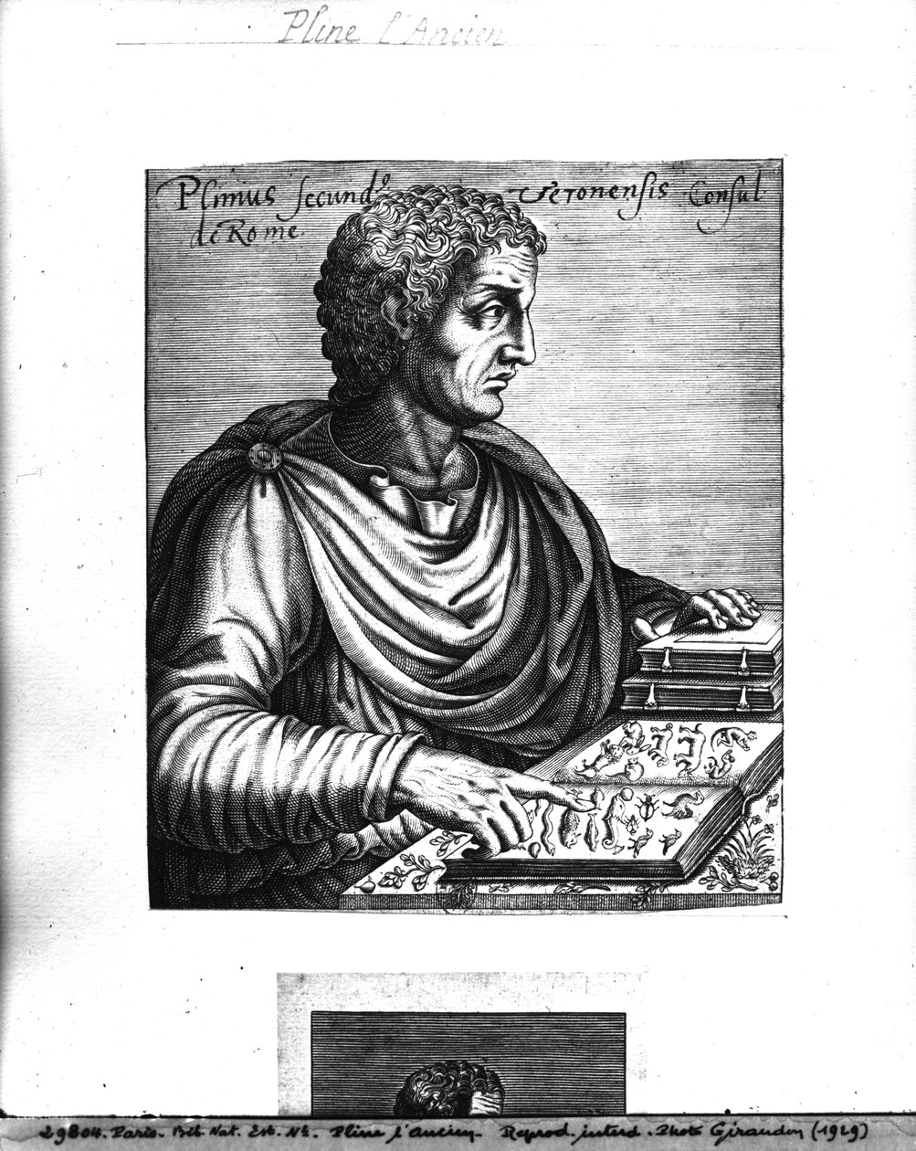 Plinio il Vecchio (23-79 d.C.) da French School
