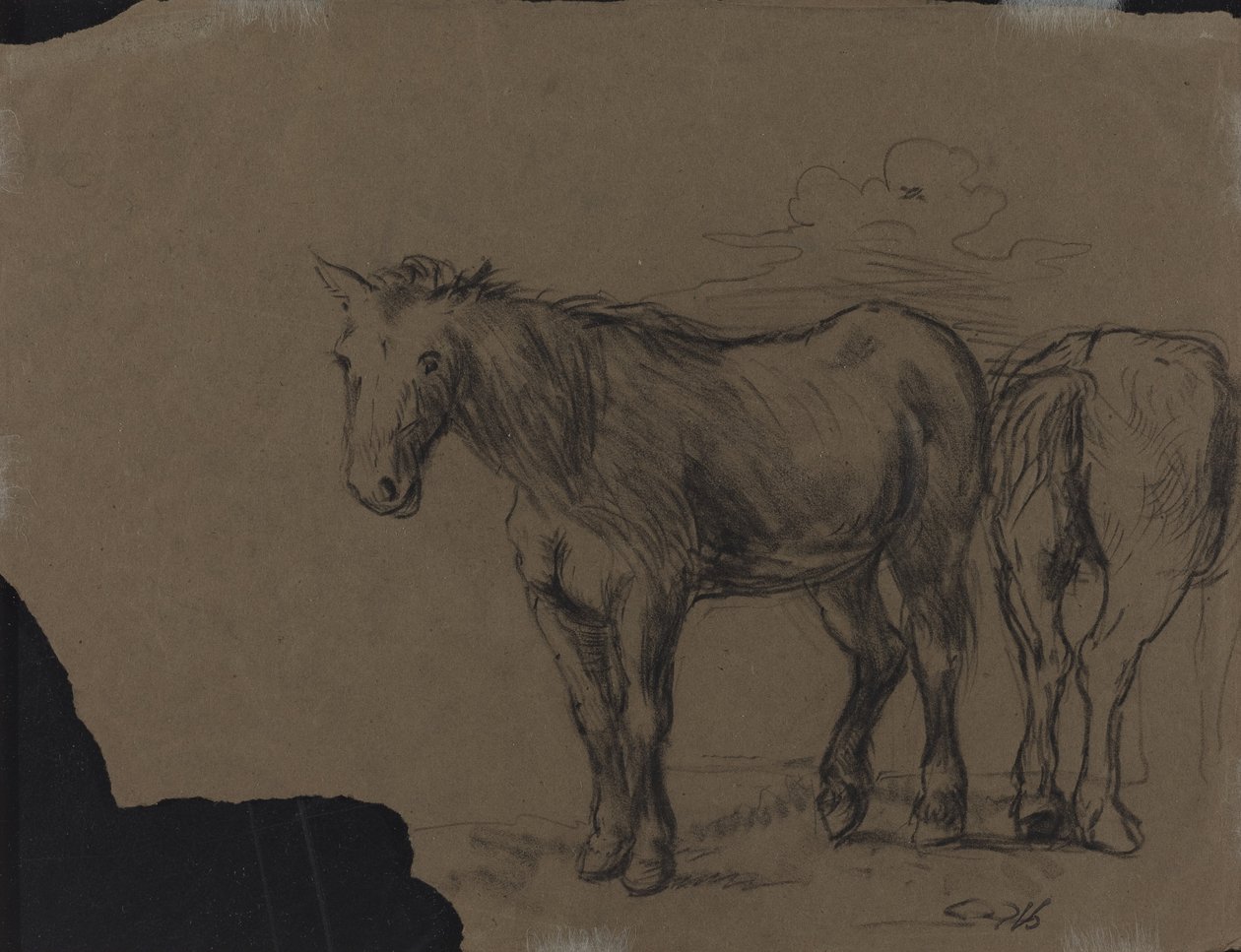 Cavalli da French 19th Century
