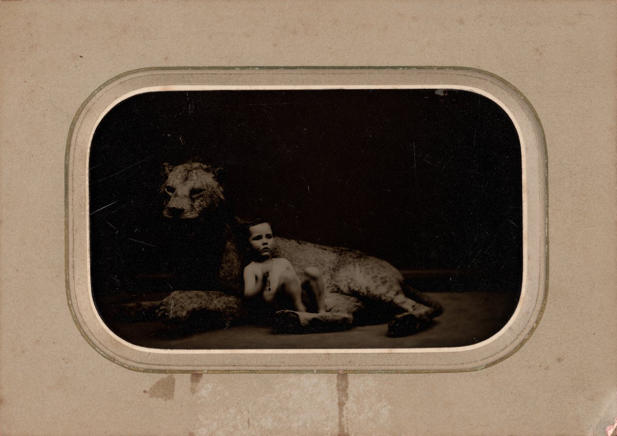 Ritratto di bambino, c. 1860 (foto) da French Photographer
