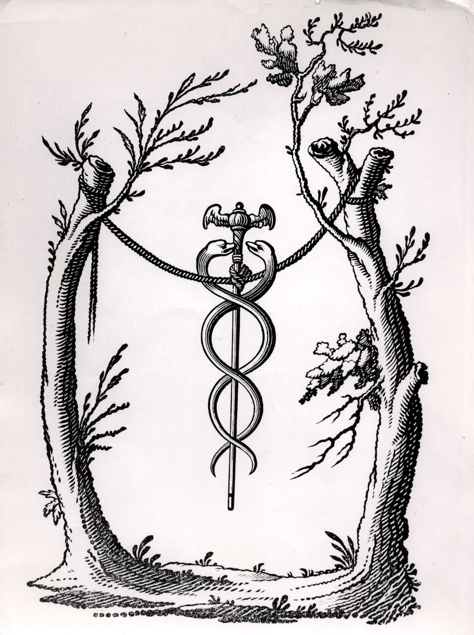Un caduceo da French School