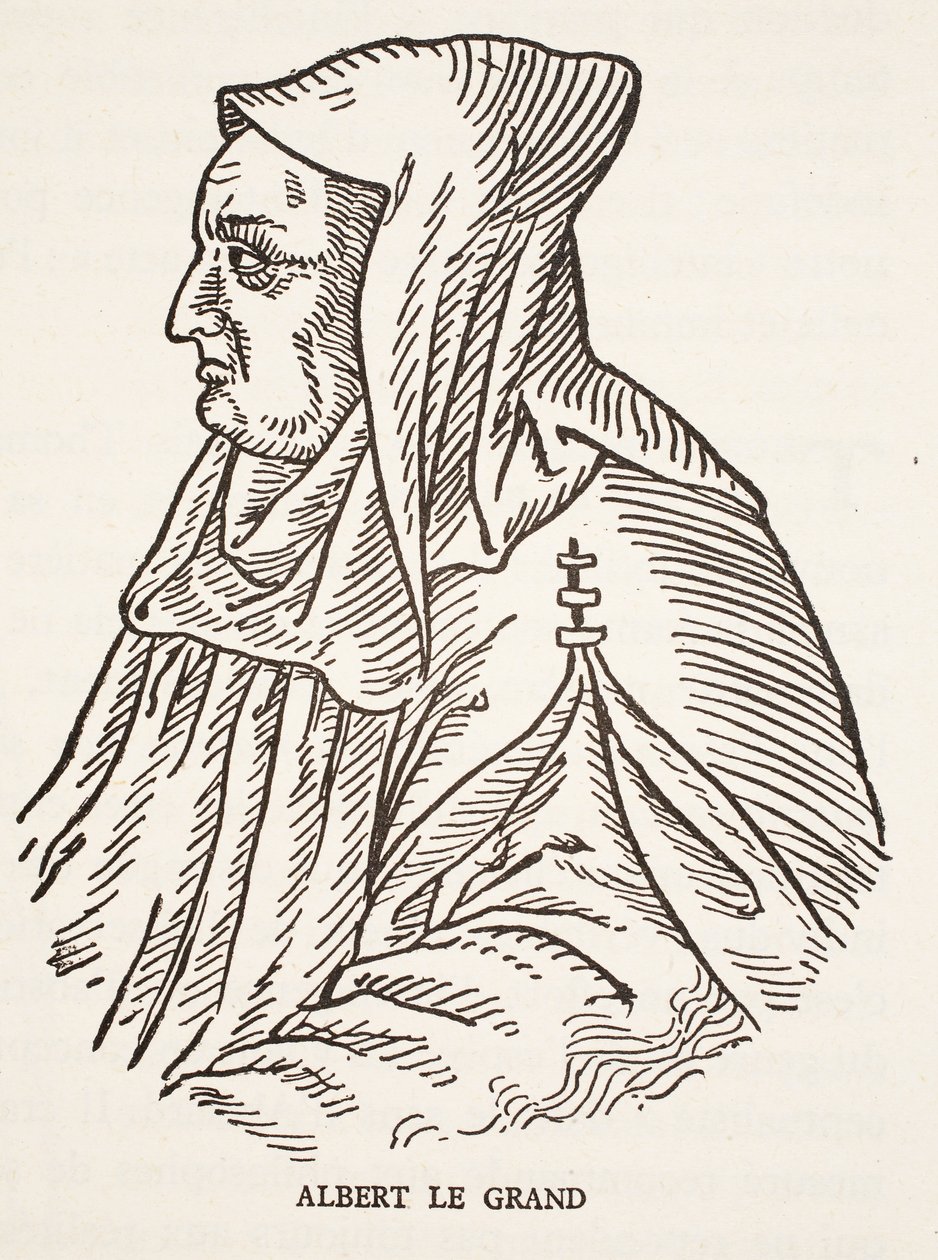 Alberto Magno da French School