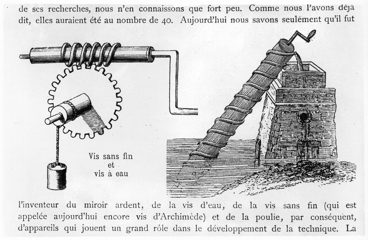Vite di Archimede da French School