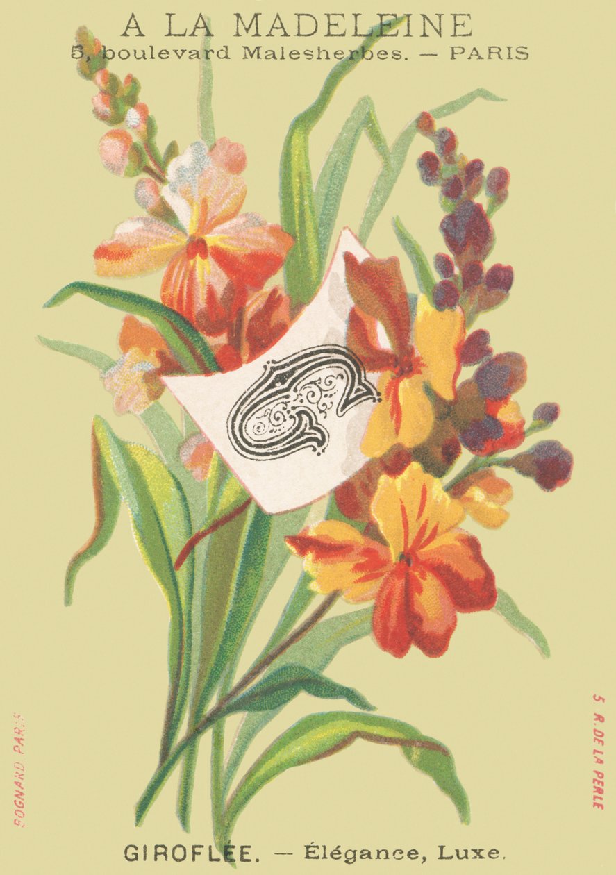 G: Giroflée - Eleganza, Lusso da French School