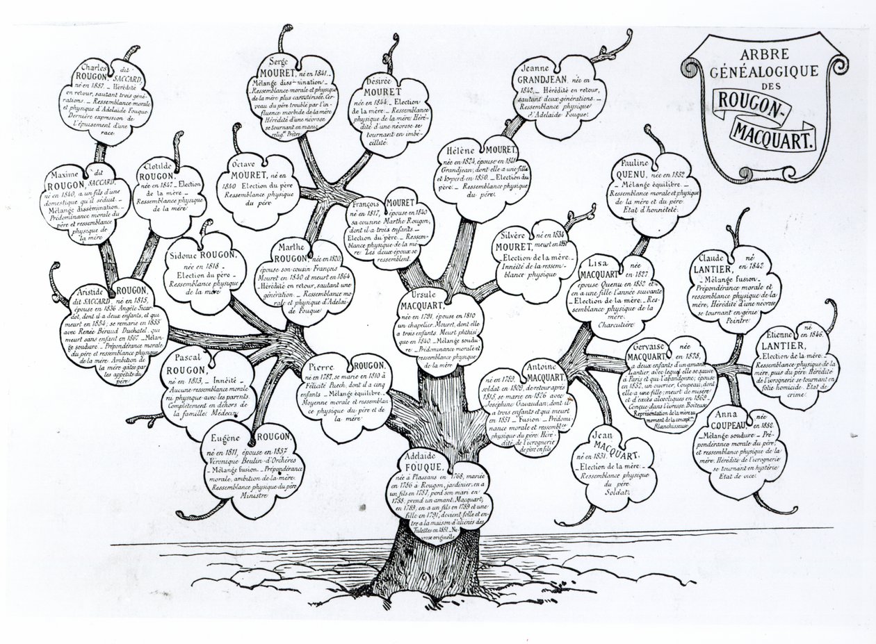 Albero genealogico della famiglia Rougon-Macquart da French School