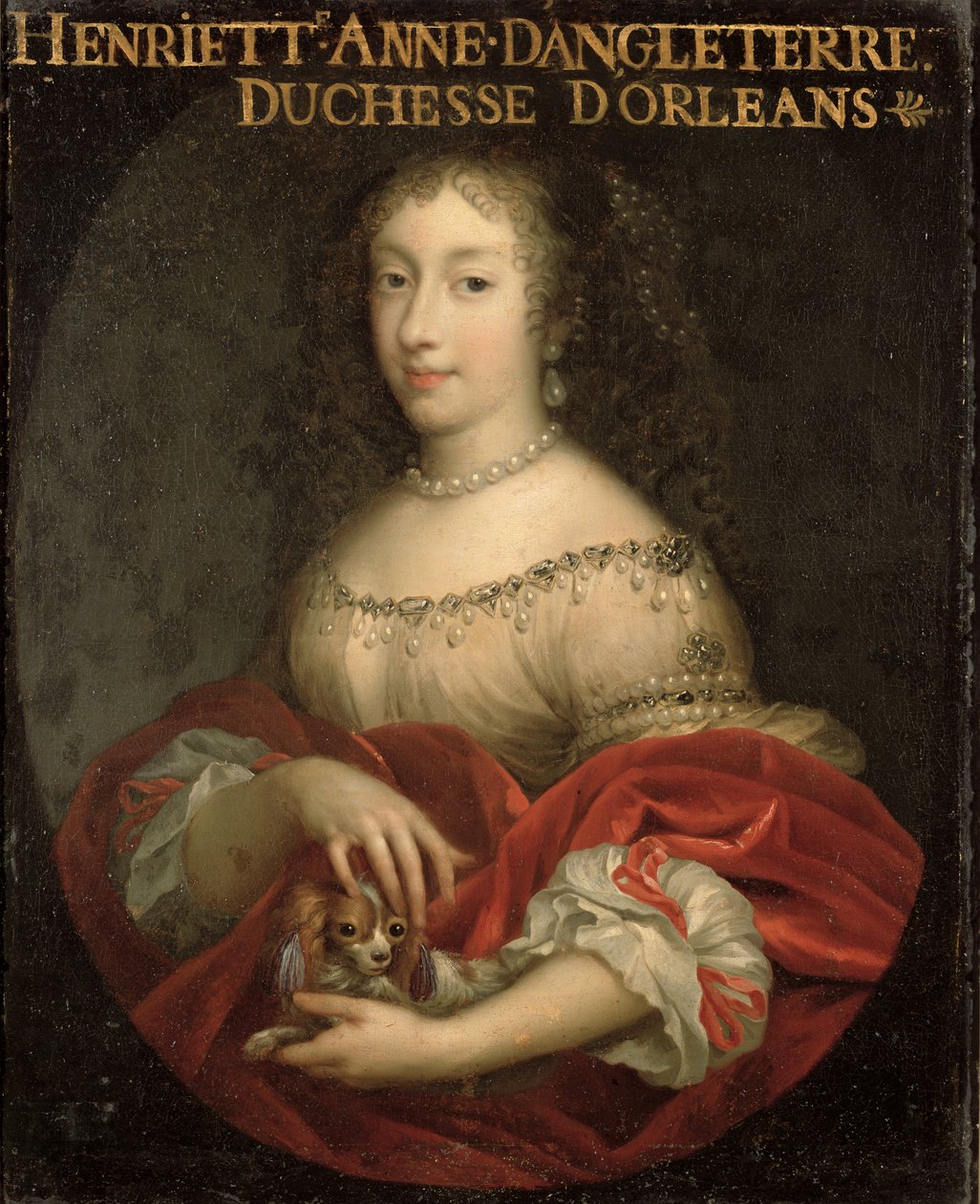 Enrichetta Anna, Duchessa d