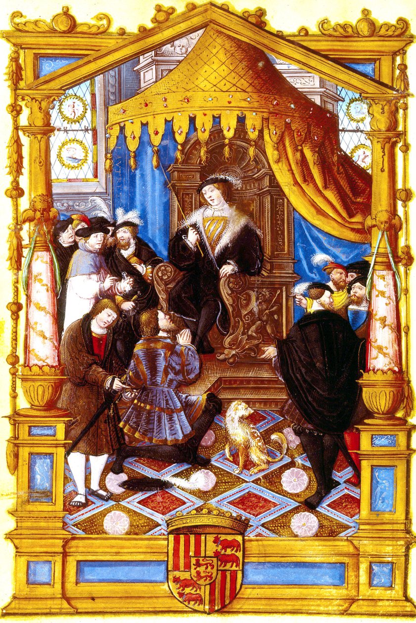 Illustrazione da 