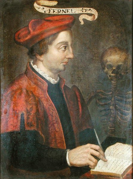 Jean Fernel (c.1497-1558) da French School