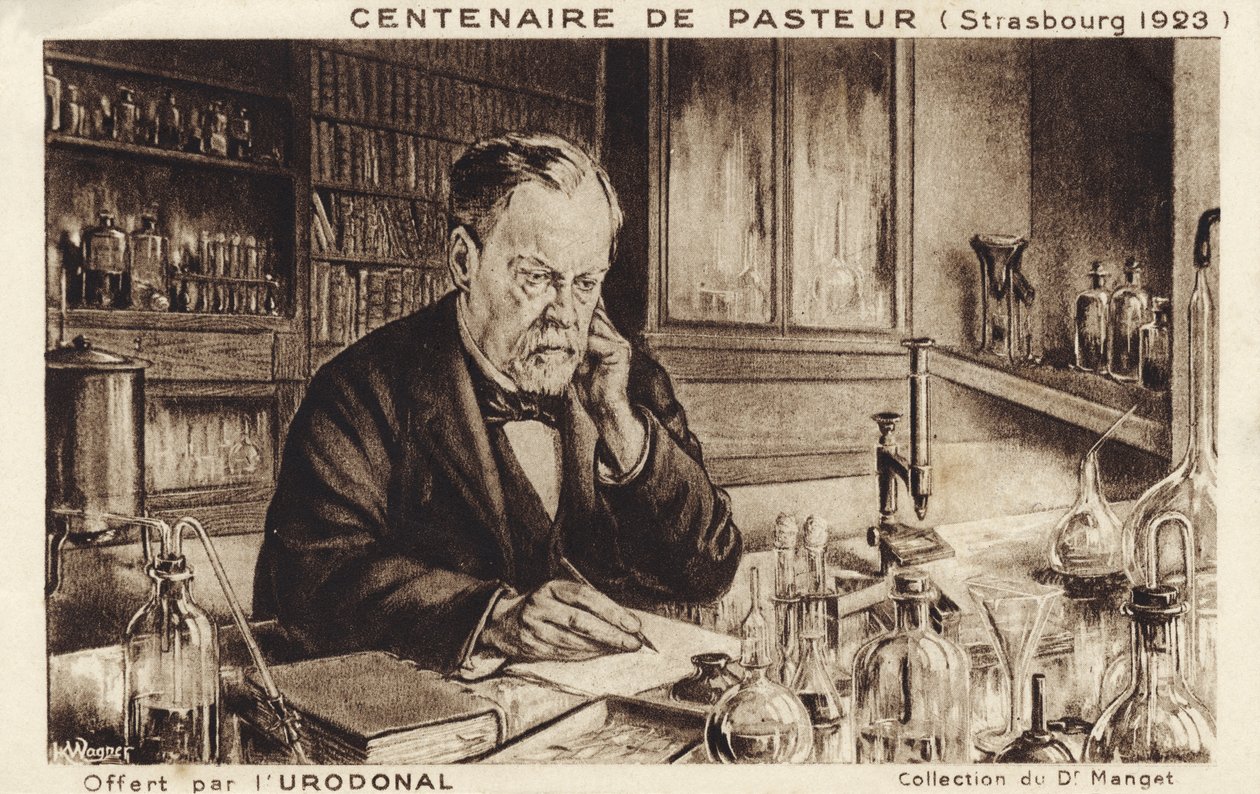 Louis Pasteur da French School