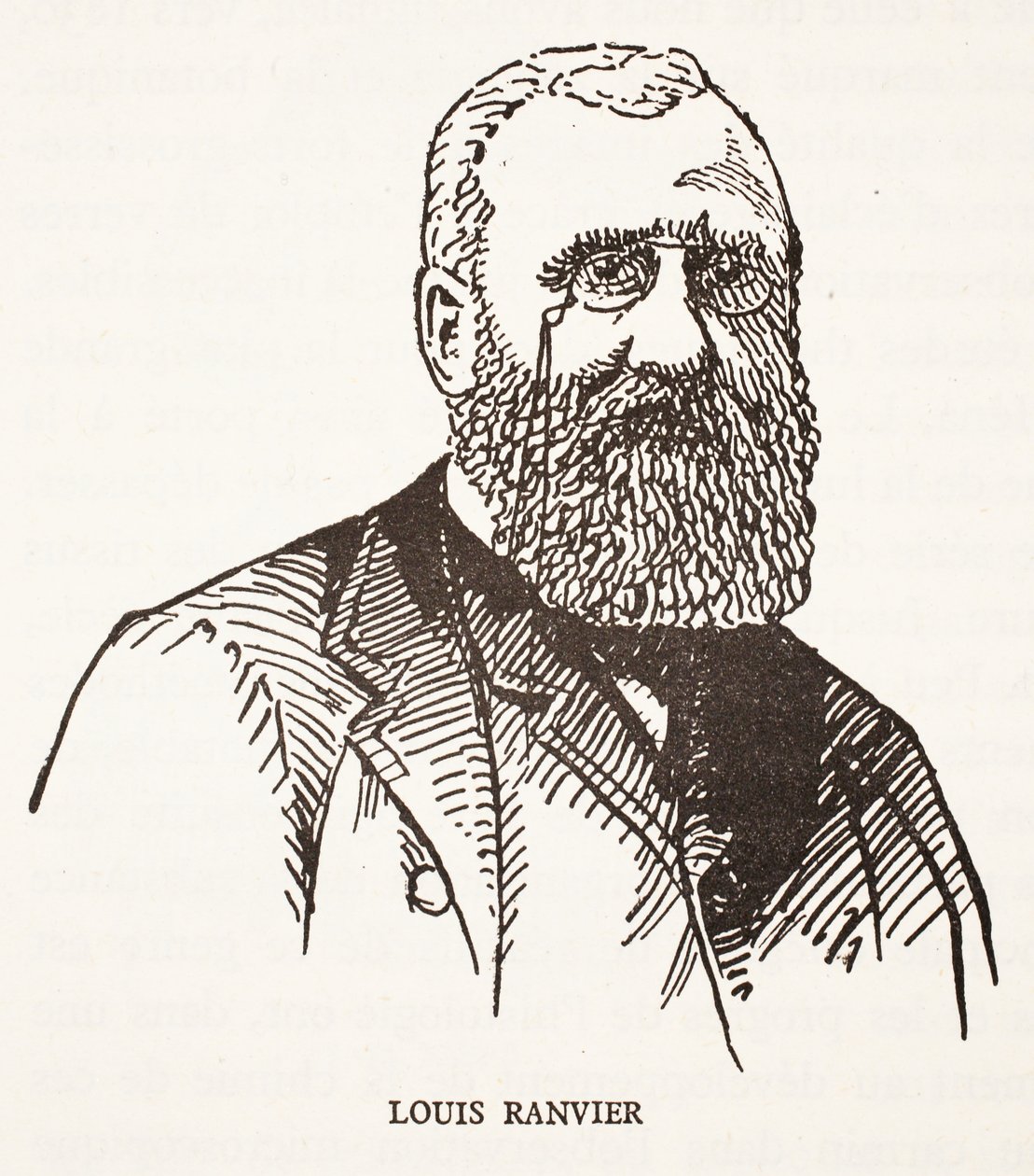Louis Ranvier da French School