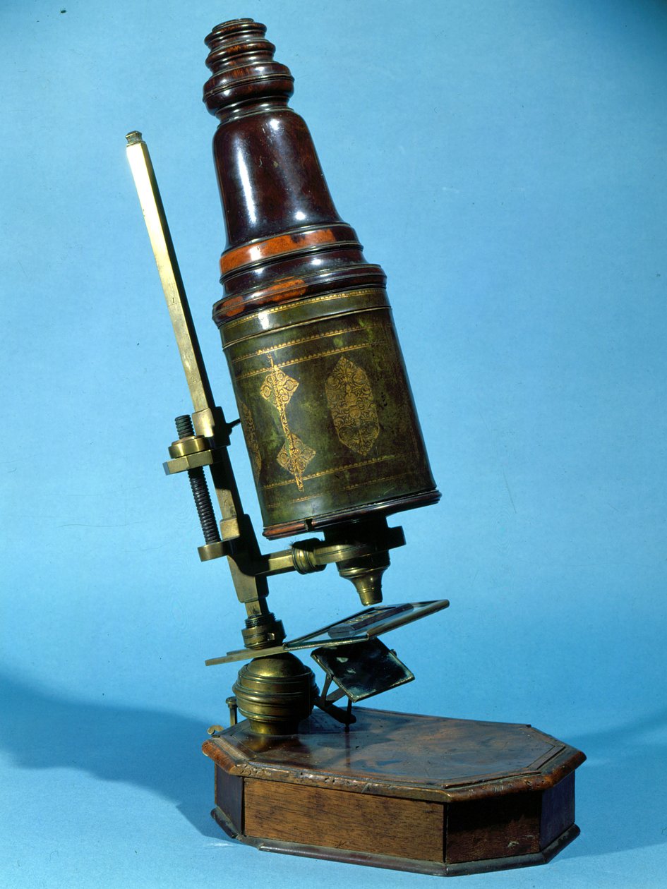 Microscopio (legno e ottone) da French School