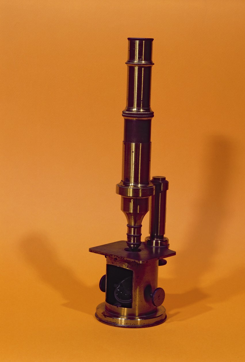 Microscopio appartenente a Louis Pasteur (1811-95) (metallo) da French School