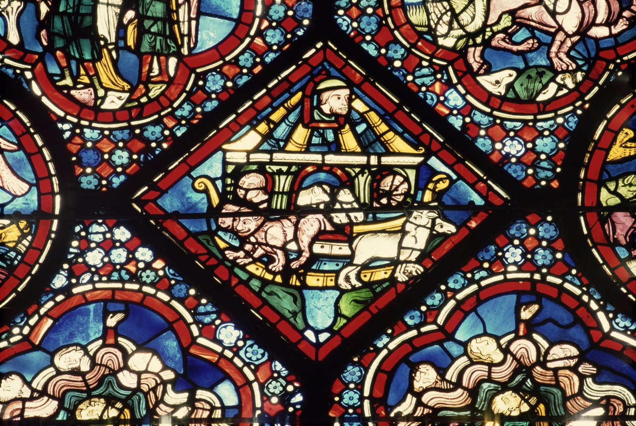 Arca di Noè da French School