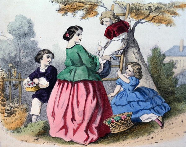 Raccolta di fiori da French School