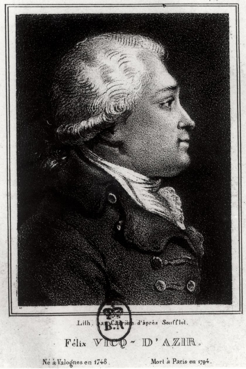 Ritratto di Felix Vicq d