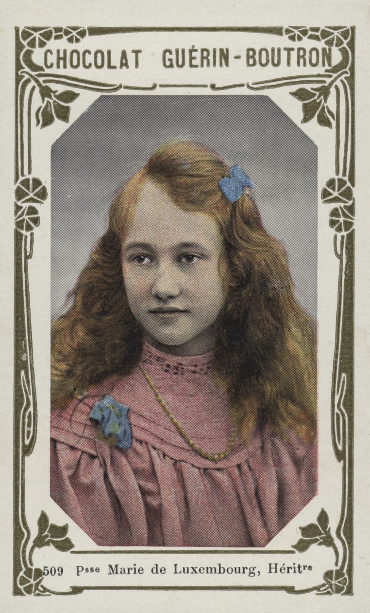 Principessa Marie di Lussemburgo, erede da French School