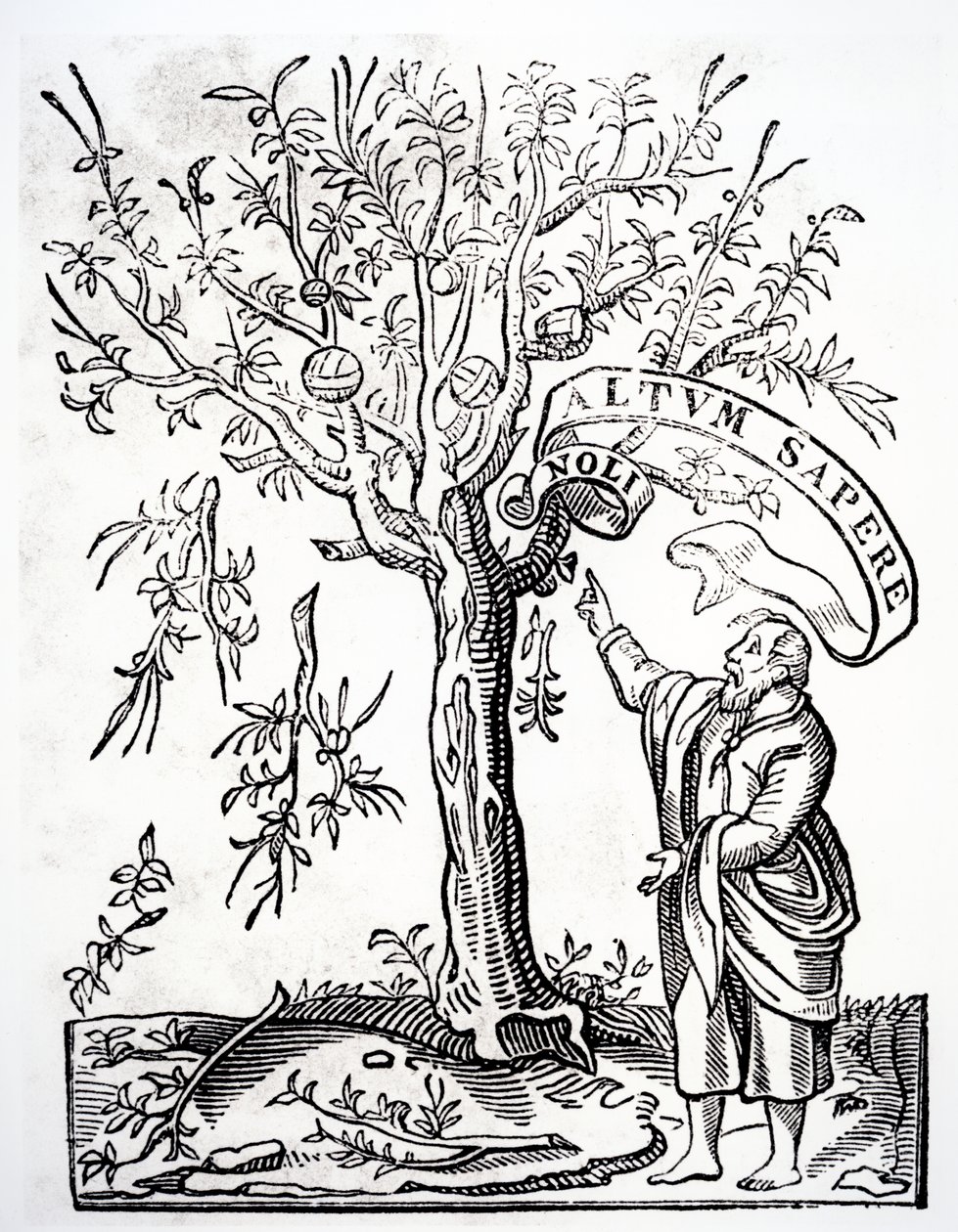 Emblema del tipografo di Robert Estienne, Parigi, 1526 da French School