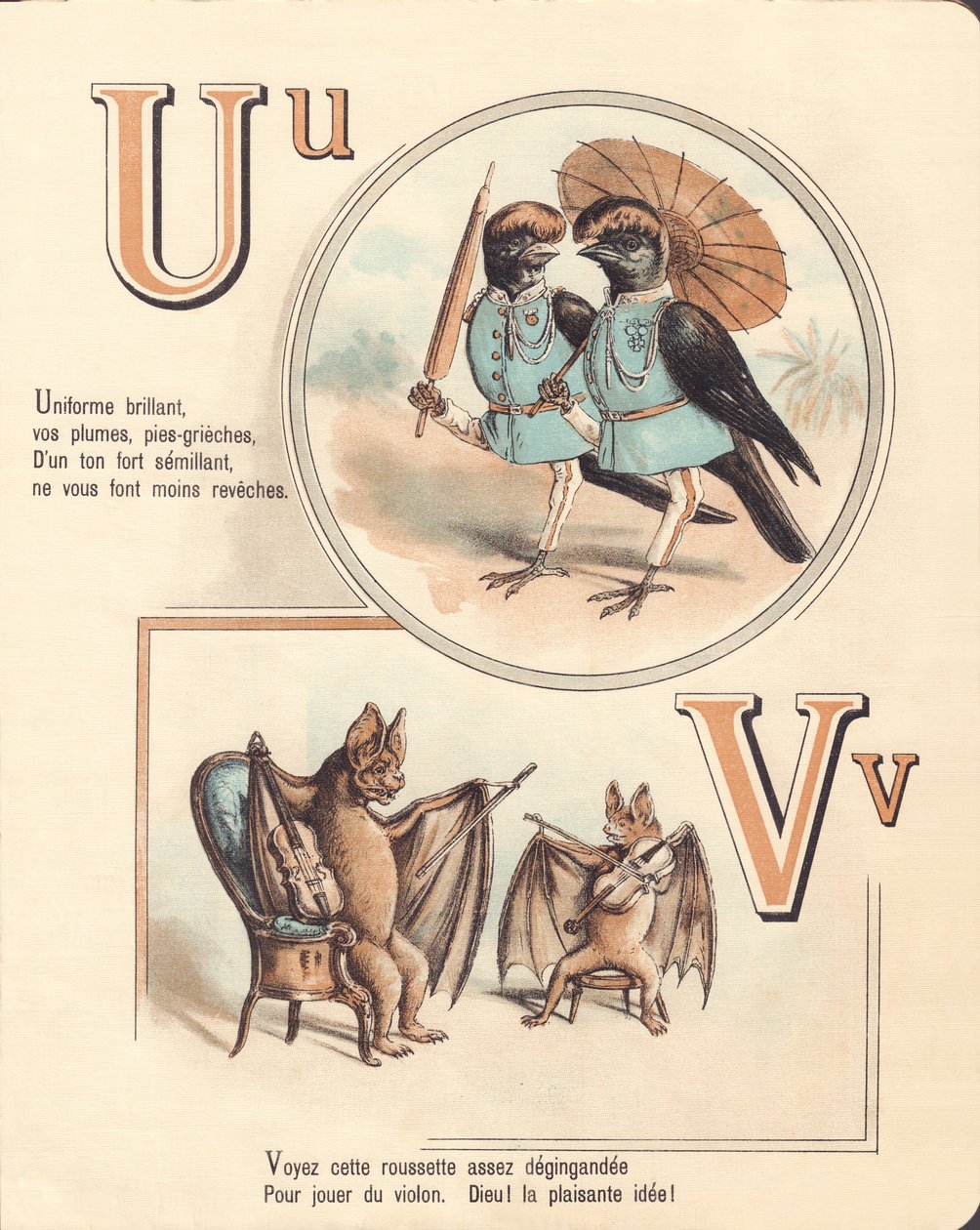 Urubu, uniforme, vampiro, violino da French School