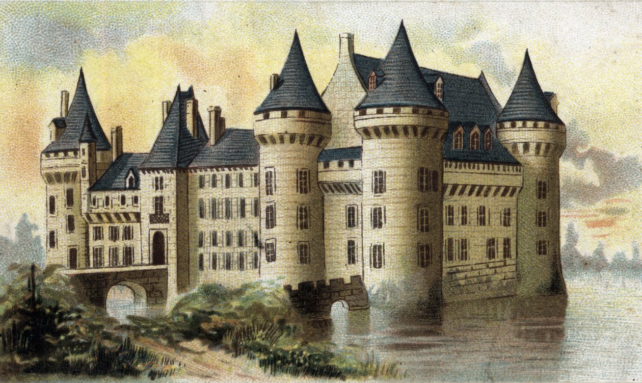 vista del castello di Sully (Loiret) da French School