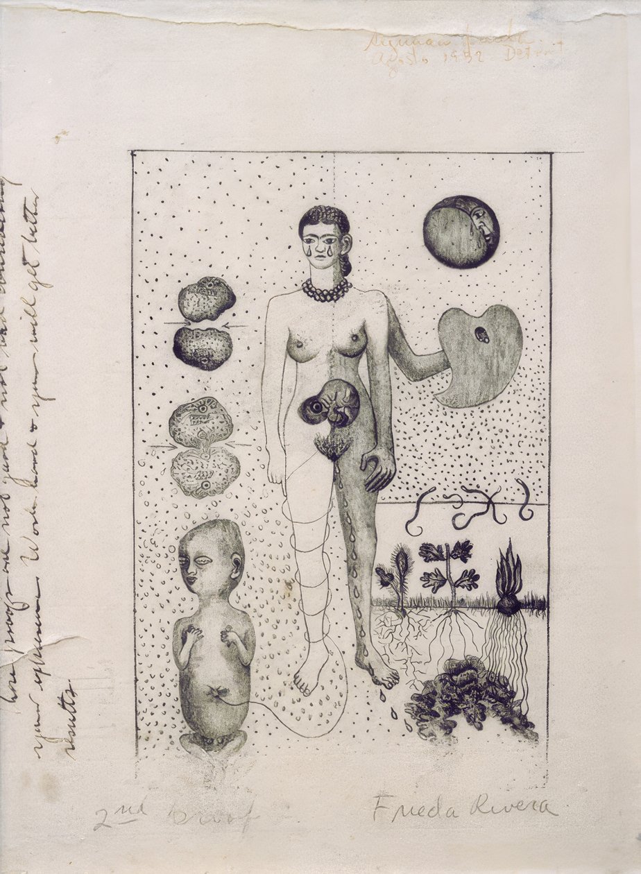 Frida e l