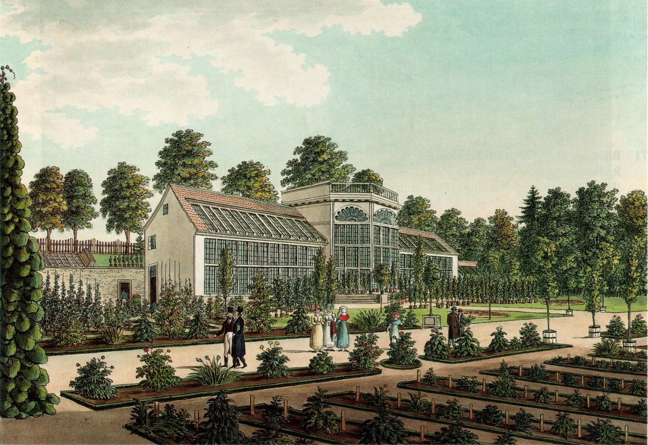 Serra nel vecchio giardino botanico di Gottinga, con il muro della città sullo sfondo da Friedrich Besemann