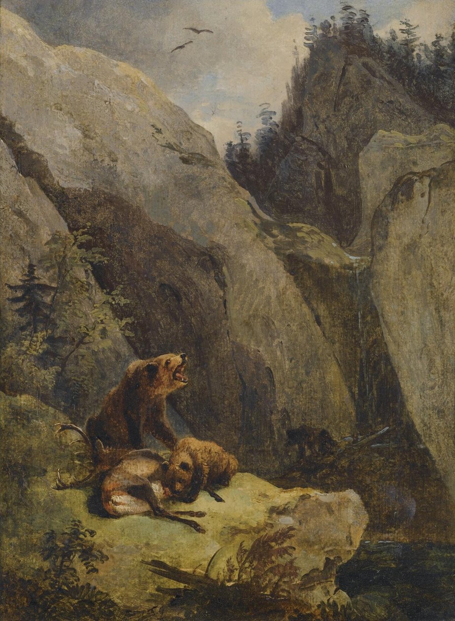 Orsi che smembrano un cervo da Friedrich Gauermann