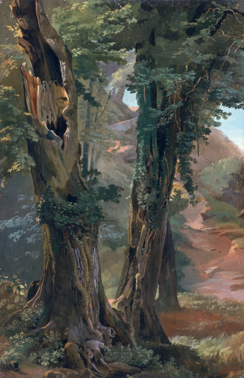Vecchi olmi, c.1835 da Friedrich Nerly