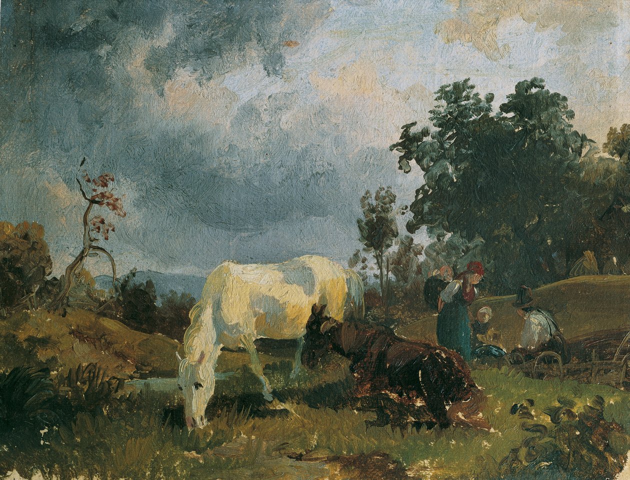 Un cavallo bianco sulla brughiera da Friedrich August Mathias Gauermann