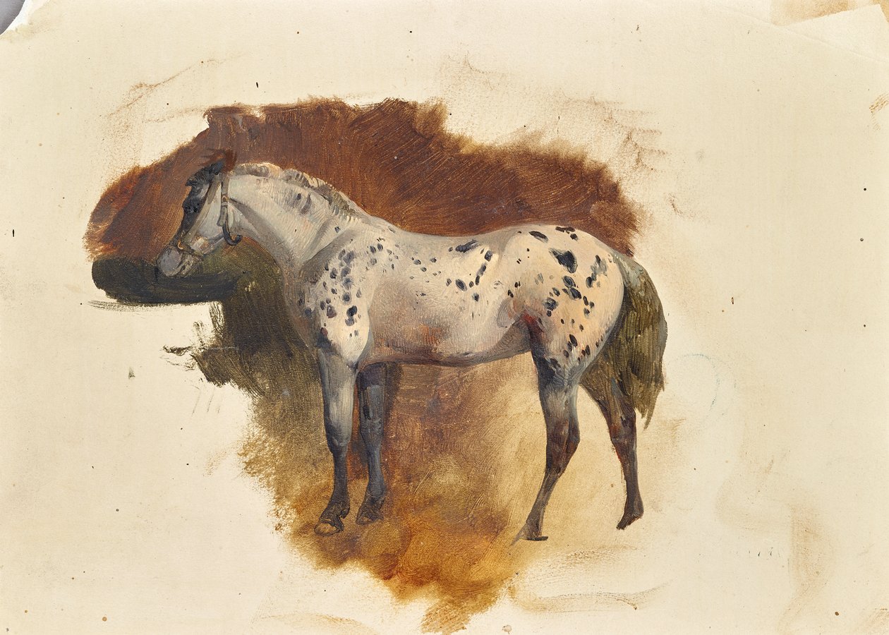 Cavallo pezzato da Friedrich August Mathias Gauermann