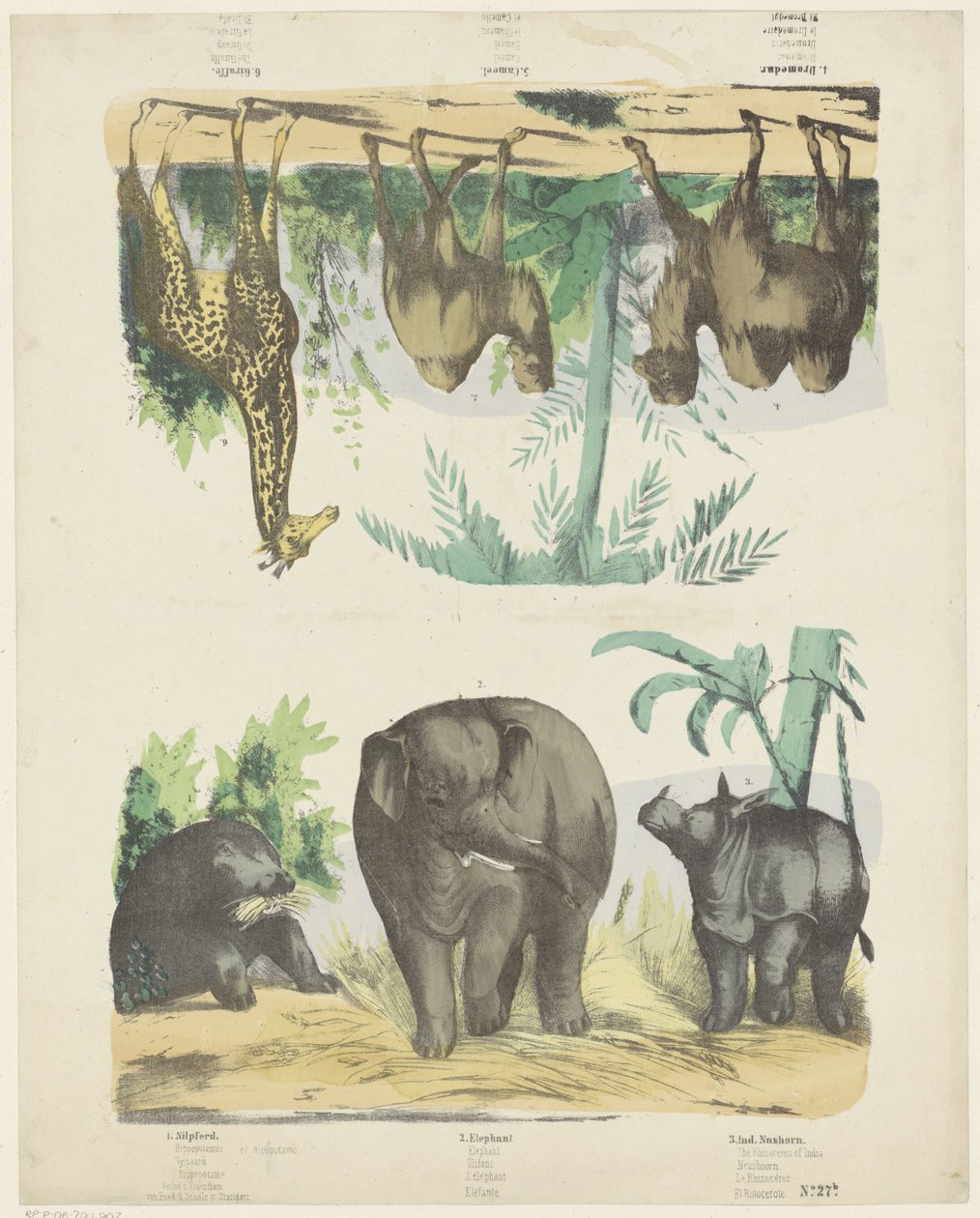 Animali selvatici da Friedrich Gustav Schulz