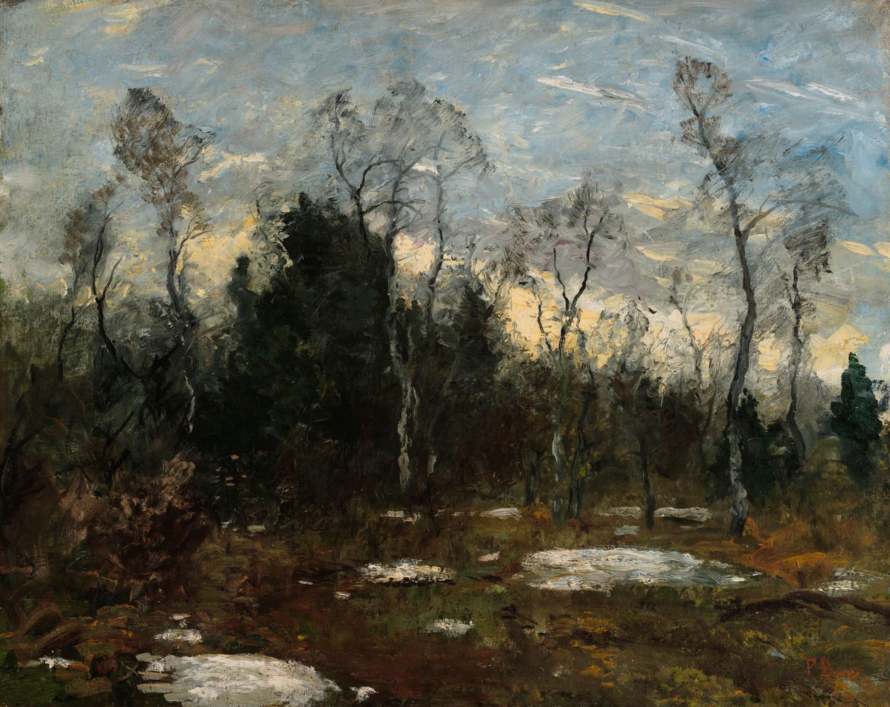 Atmosfera serale da Fritz Baer