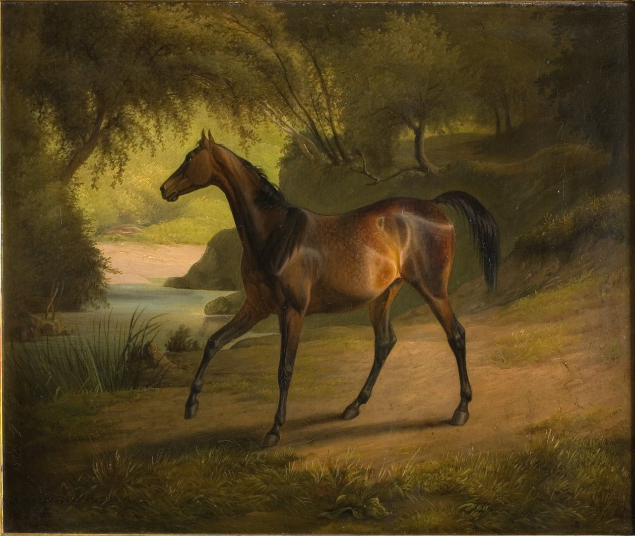 Antonia da Fritz Thomsen