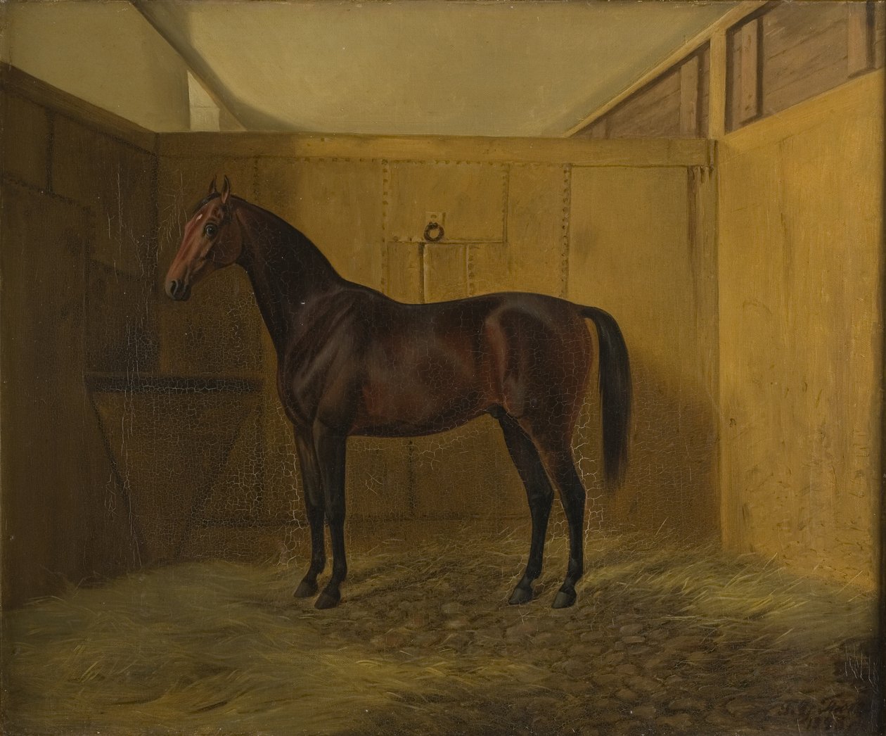 Hersilia da Fritz Thomsen