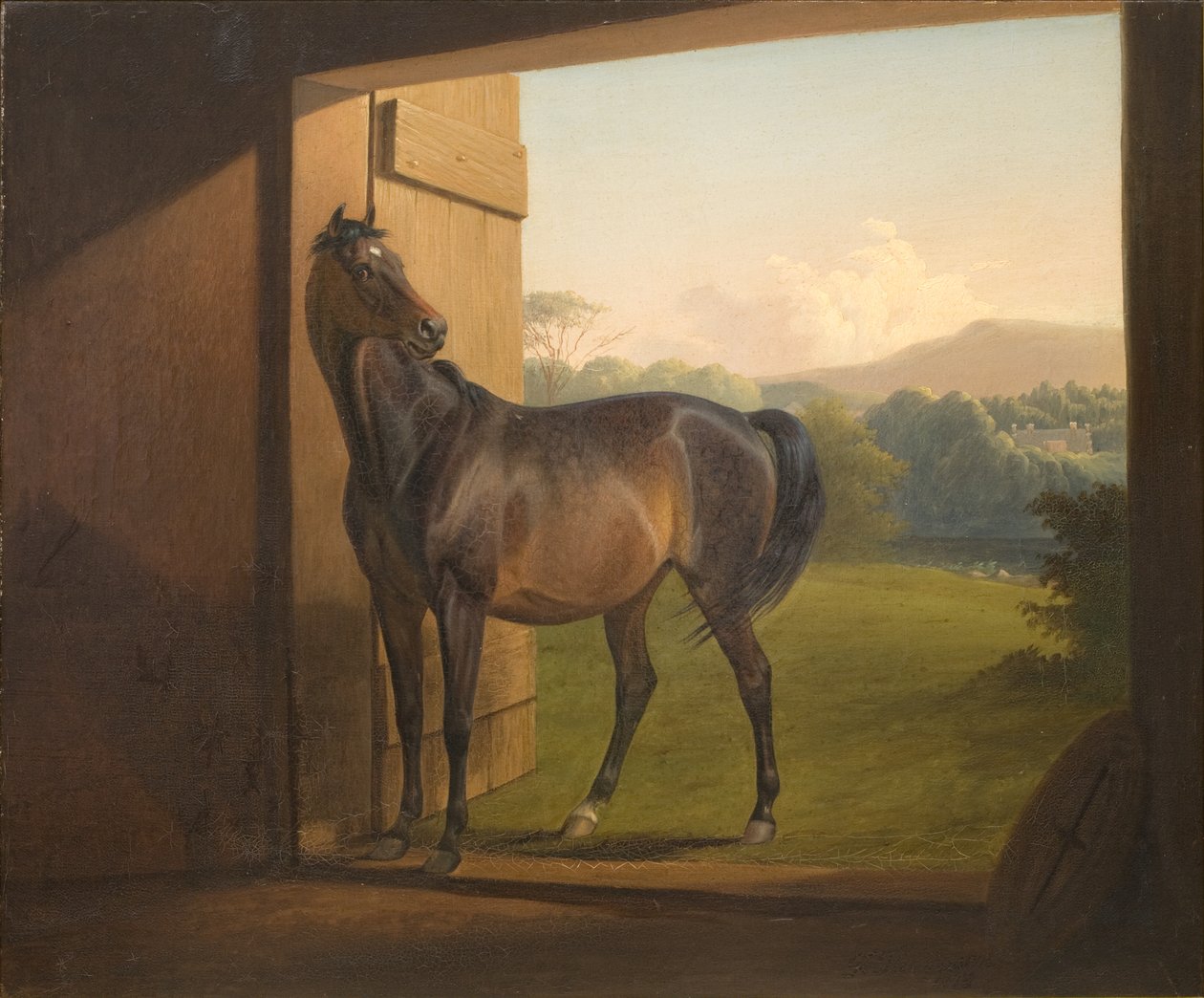 Reveller Mare da Fritz Thomsen