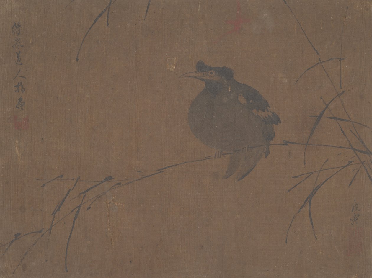 Mynah su Canna da Fulan Taorên.