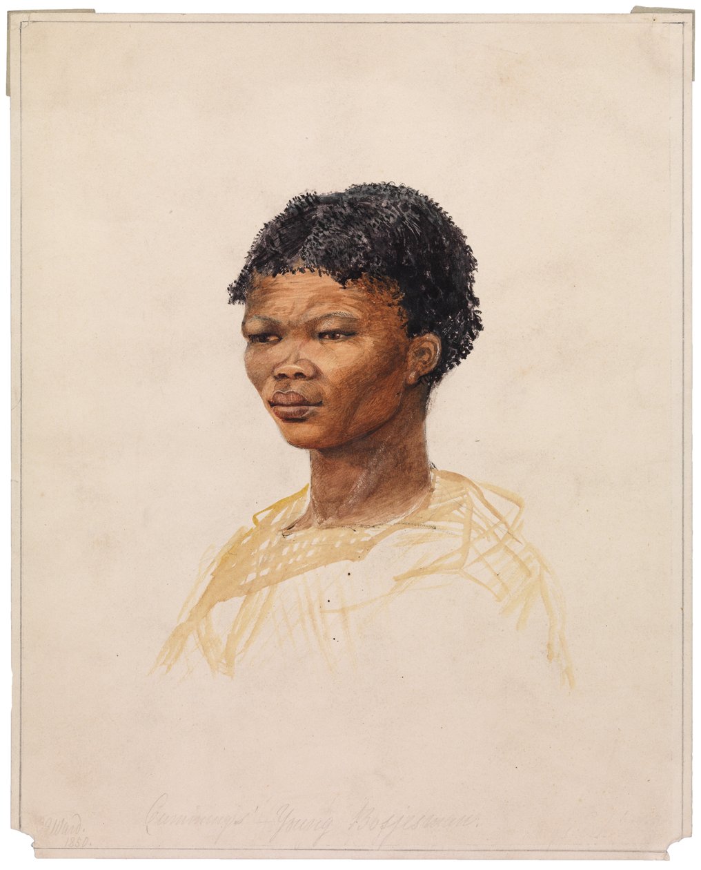 Giovane Bosjesman di Cumming, 1850 da G. S. Ward