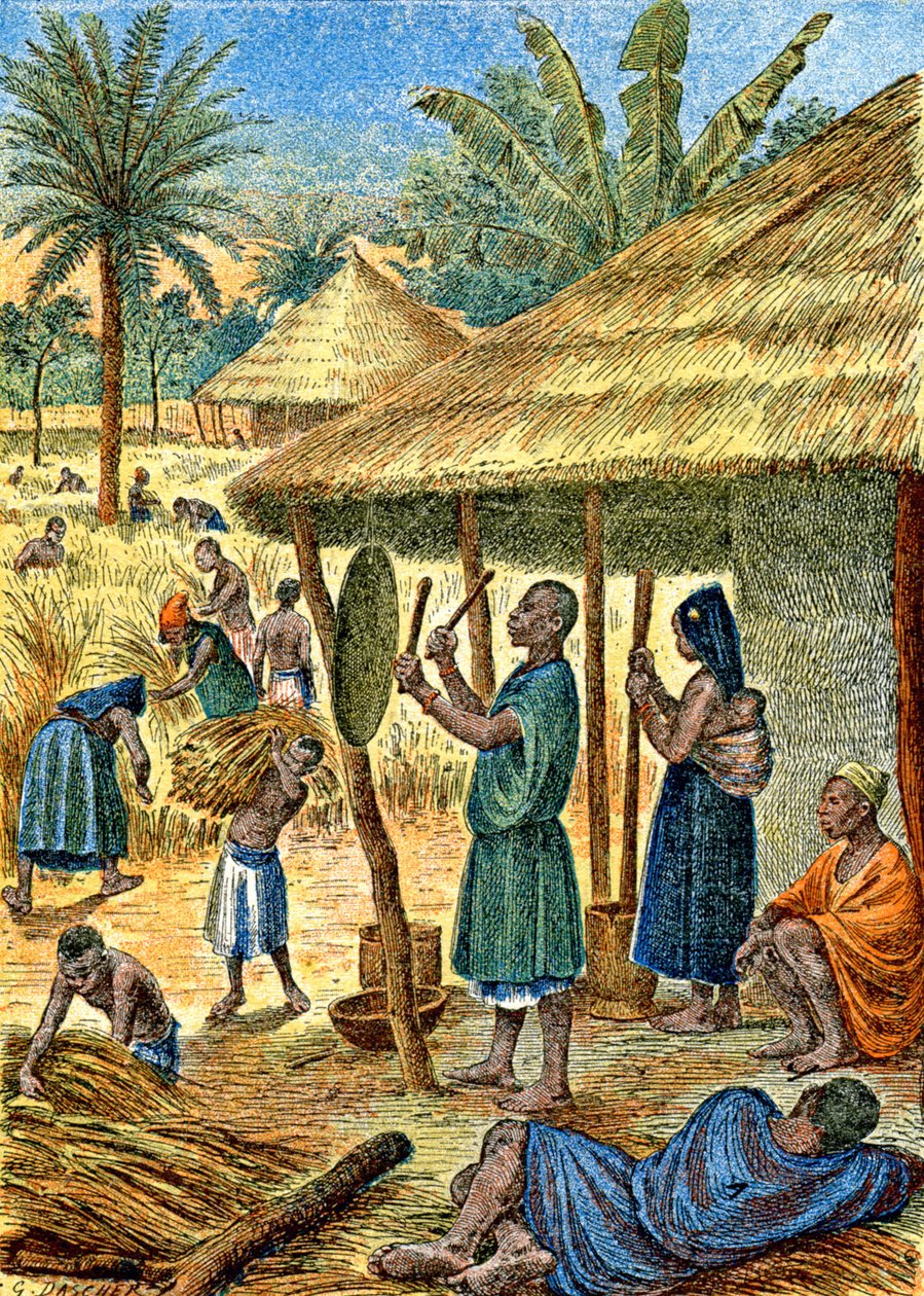 Villaggio in Sudan, c.1900-1910 (illustrazione) da G. Dascher