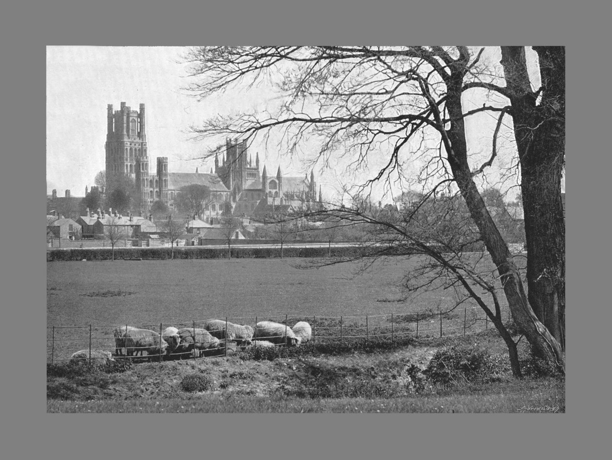 Cattedrale di Ely, c1900 da G. W. Wilson and Company