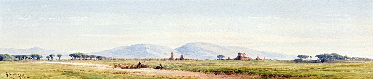 Campagna da Gabriel Carelli