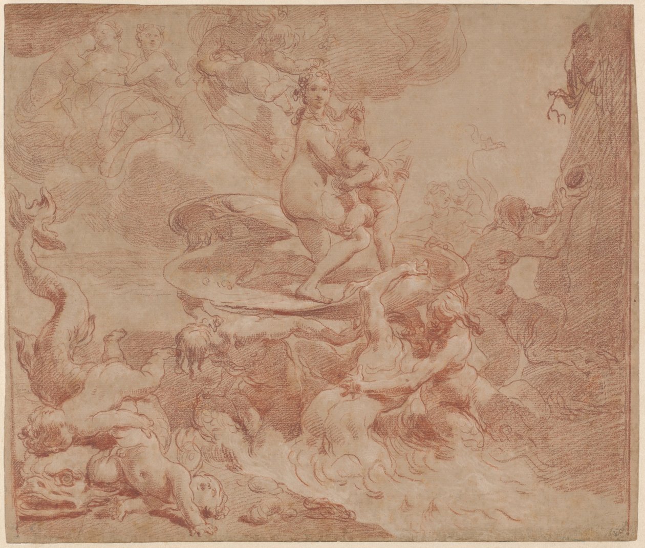 La nascita di Venere da Gaetano Gandolfi