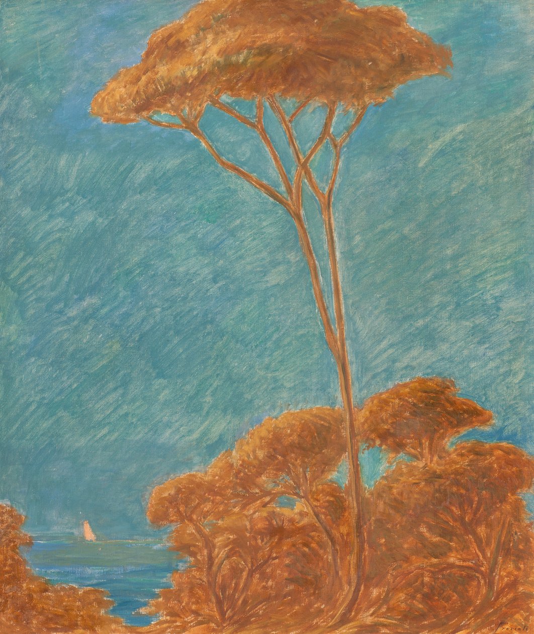 Pino in Liguria da Gaetano Previati